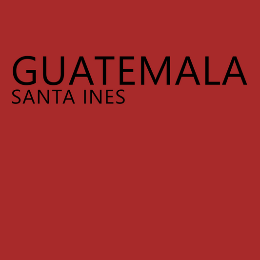 Santa Ines - Guatemala (12 oz)